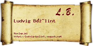 Ludvig Bálint névjegykártya